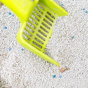 how often should you clean a cat litter box