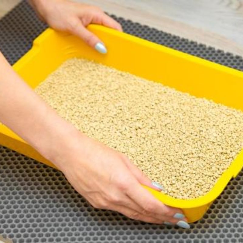 Paper Pellet Cat Litter