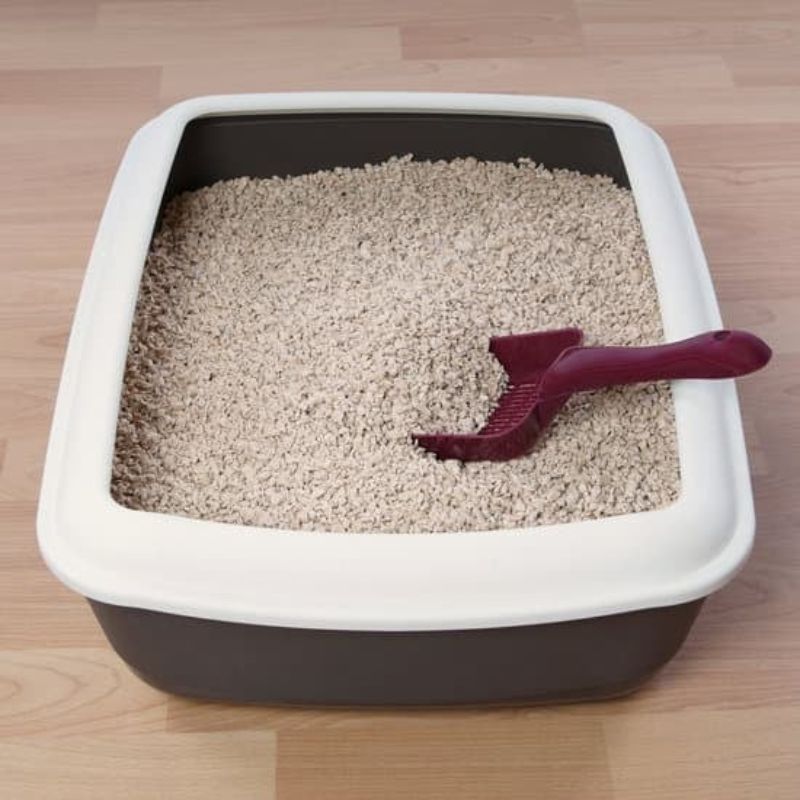 Walnut Cat Litter