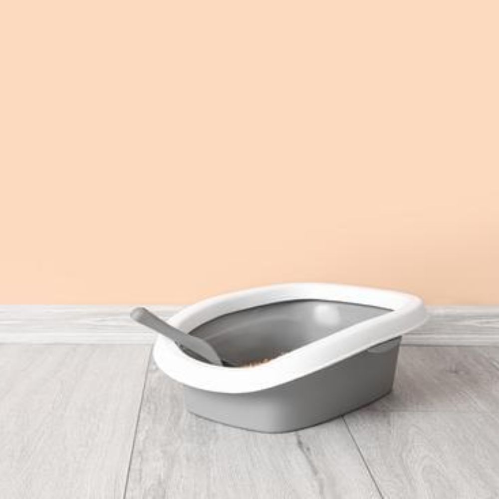 plastic cat litter box